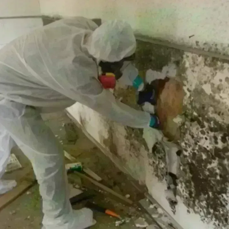 Mold Remediation and Removal in Oak Island, NC